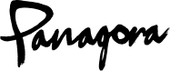 panagora commerce logga
