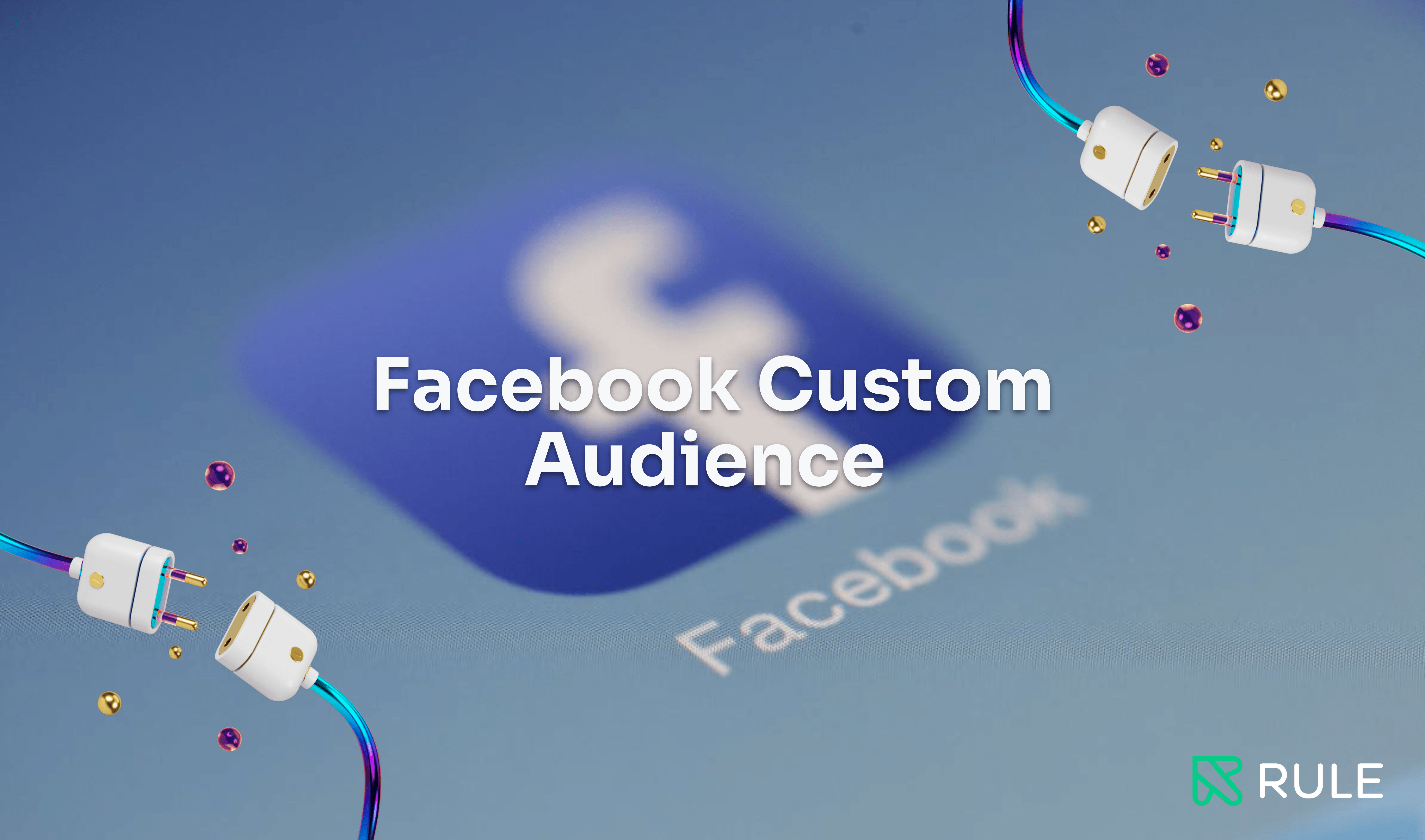 Facebook custom audience